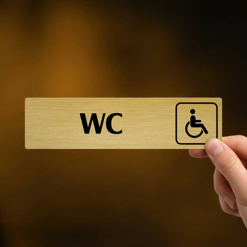WC invalida, Florida, stříbrná