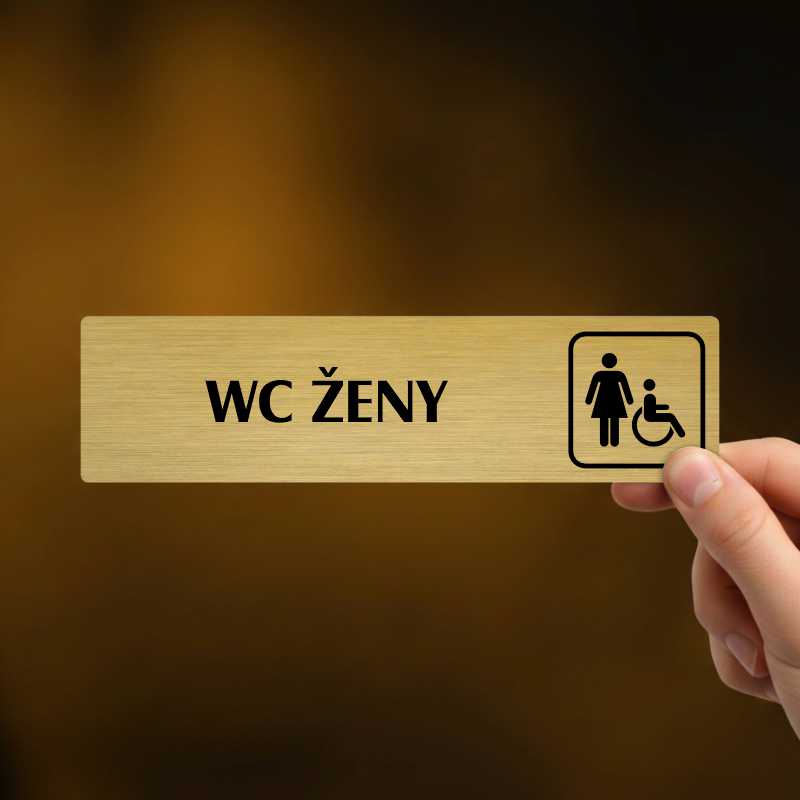 WC ženy invalida, Florida, zlatá