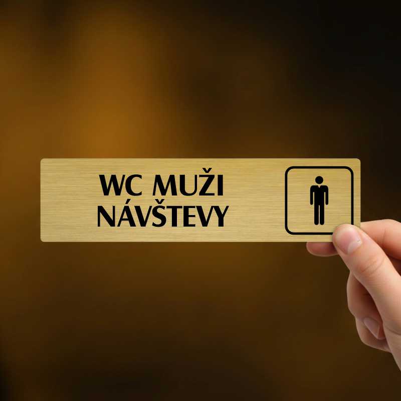 WC muži návštěvy, Florida, stříbrná