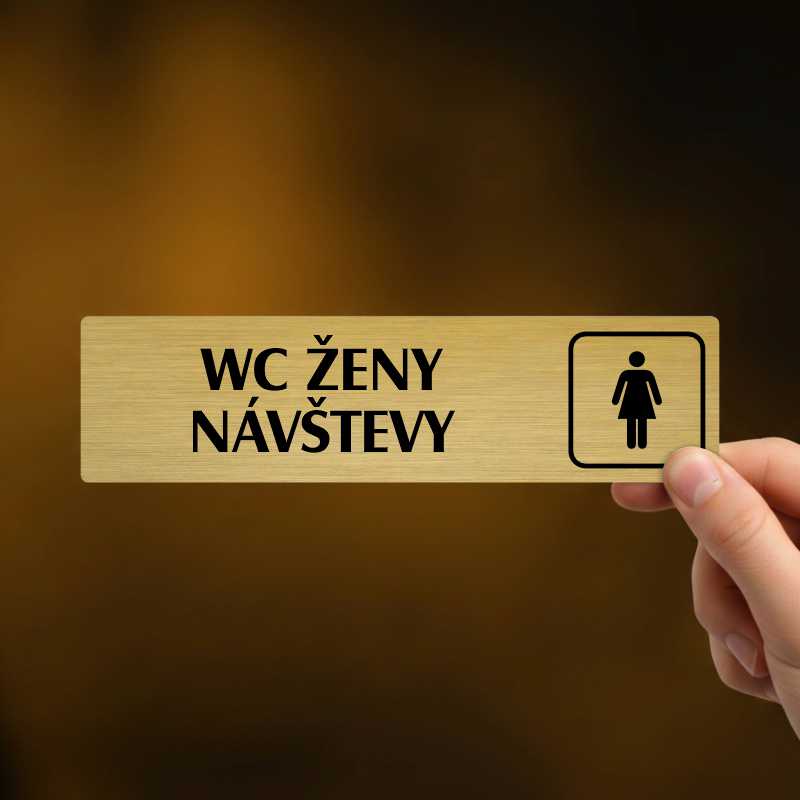 WC ženy návštěvy, Florida, stříbrná