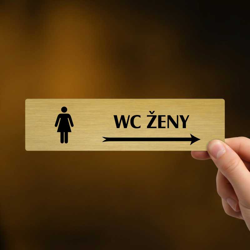 WC ženy vpravo, Florida, stříbrná