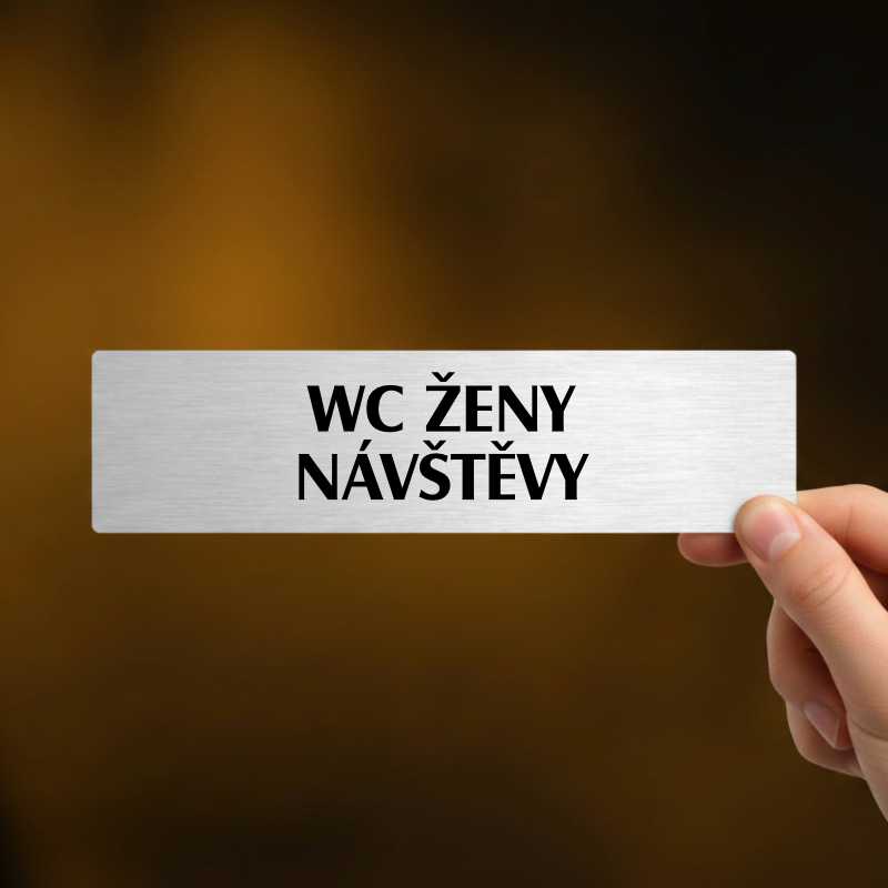 WC ženy návštěvy, Florida, stříbrná